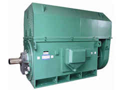 YJTFKK4502-4Y系列6KV高压电机